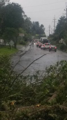 WhatsApp Image 2017 11 07 at 4.02.03 PM