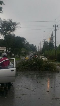 WhatsApp Image 2017 11 07 at 4.02.04 PM 1