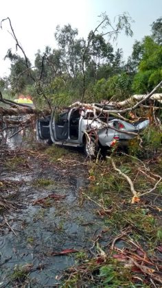 WhatsApp Image 2017 11 07 at 4.02.04 PM 2