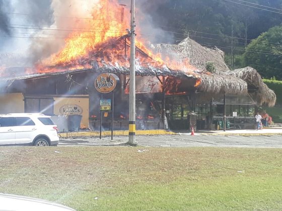 WhatsApp Image 2017 11 22 at 11.24.52