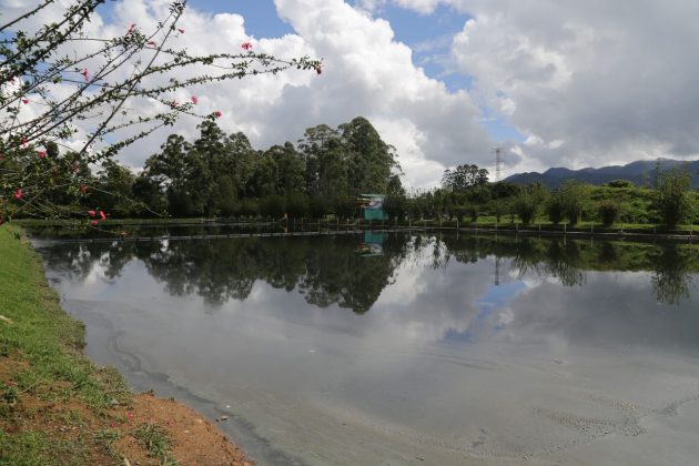 WhatsApp Image 2017 11 22 at 14.44.12 1