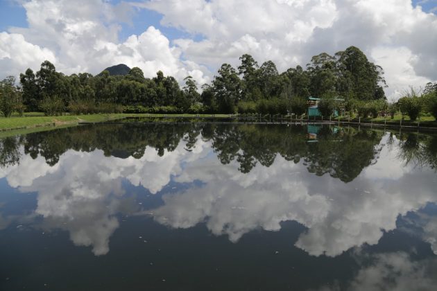 WhatsApp Image 2017 11 22 at 14.44.12