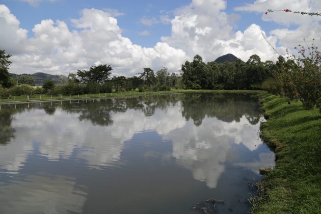 WhatsApp Image 2017 11 22 at 14.44.15