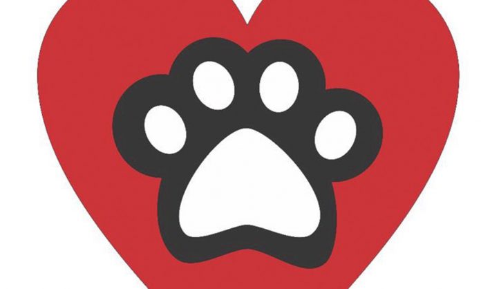 actosimbolicoperrito