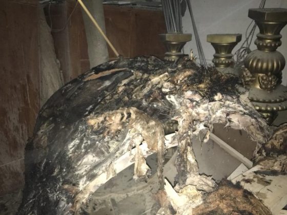 WhatsApp Image 2018 01 12 at 7.45.52 AM