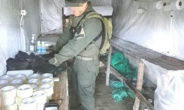 Laboratorio Abejorral 1