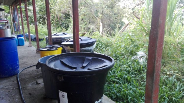 Laboratorio Abejorral 2