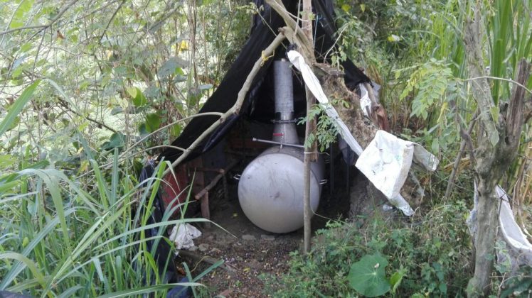 Laboratorio Abejorral 3