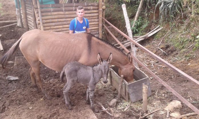 WhatsApp Image 2018 02 01 at 4.02.50 PM