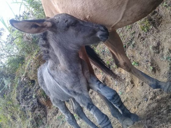 WhatsApp Image 2018 02 01 at 4.02.51 PM