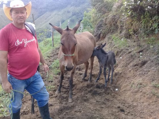 WhatsApp Image 2018 02 01 at 4.02.53 PM