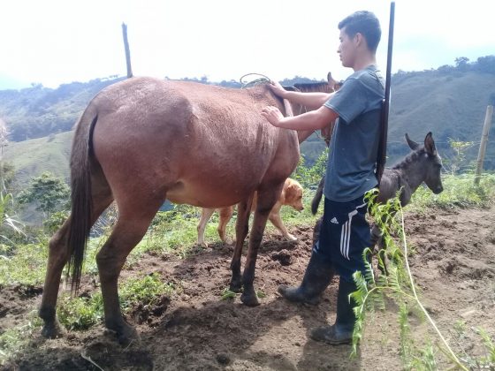 WhatsApp Image 2018 02 01 at 4.02.54 PM