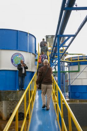 Acueducto Hojas Anchas 10