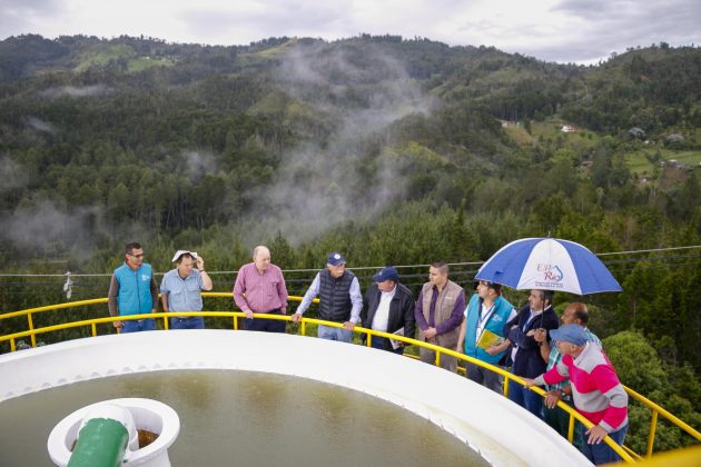 Acueducto Hojas Anchas 221