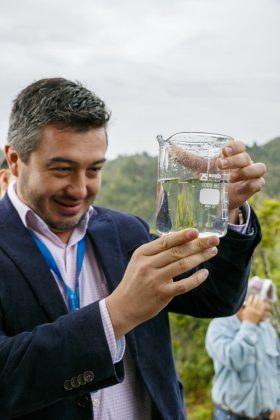 Acueducto Hojas Anchas 32