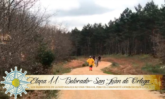 whatsapp-image-2018-05-11-at-6-25-45-pm