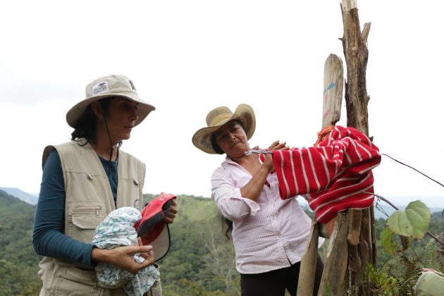 instalación de espantapajaros 1 1