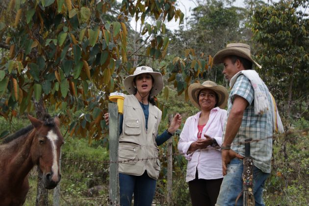 luces tipo led para ahuyentar los felinos