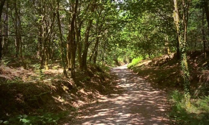 reiniciar-el-camino-2