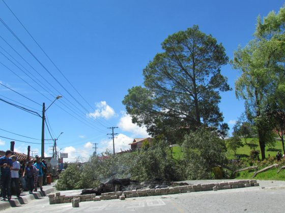 1237379 10151533833061371 1978234185 o