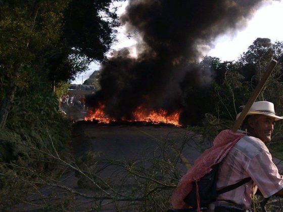 1238742 10151535177771371 500462922 n