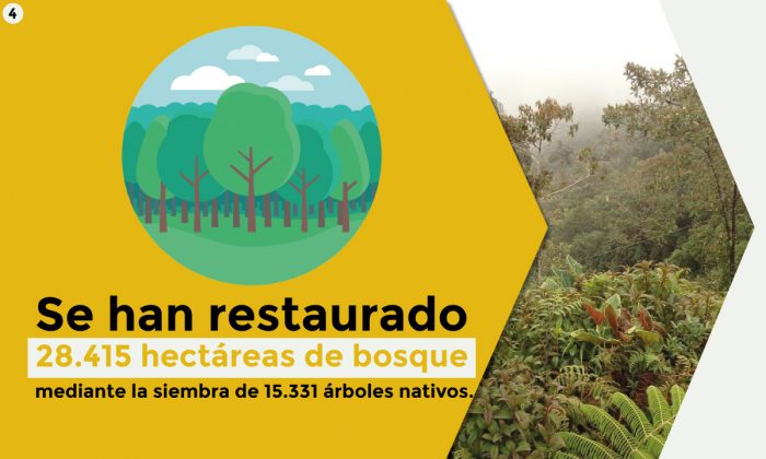 WhatsApp Image 2018 08 27 at 4.50.23 PM 1