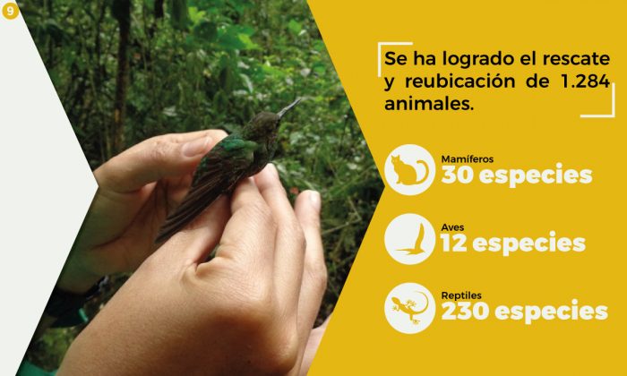 WhatsApp Image 2018 08 27 at 4.50.25 PM