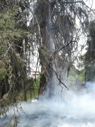 WhatsApp Image 2018 09 12 at 11.37.50 AM