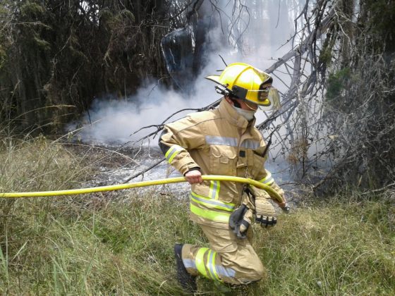 WhatsApp Image 2018 09 12 at 11.37.51 AM