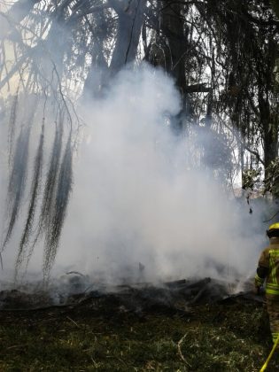 WhatsApp Image 2018 09 12 at 11.37.53 AM