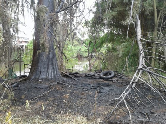 WhatsApp Image 2018 09 12 at 11.37.55 AM 1