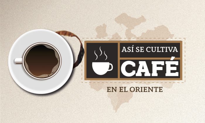 CAFÉ ORIENTE 1
