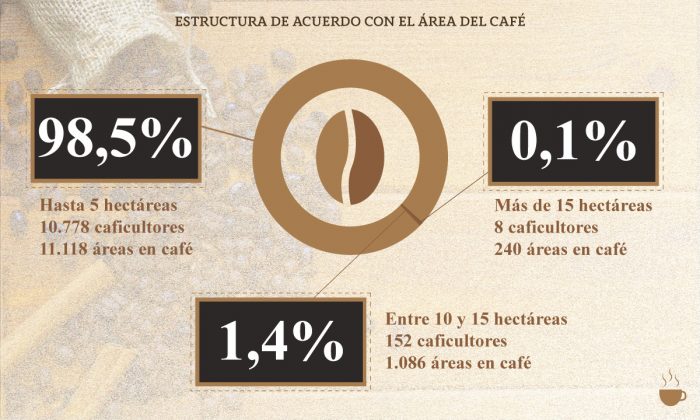 CAFÉ ORIENTE 4