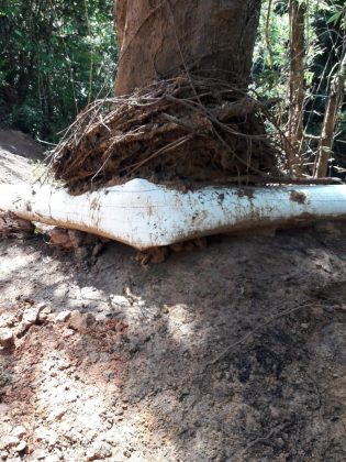 WhatsApp Image 2018 10 17 at 10.47.03 AM