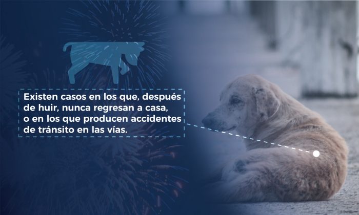 PÓLVORA MASCOTAS ALBORADA 2