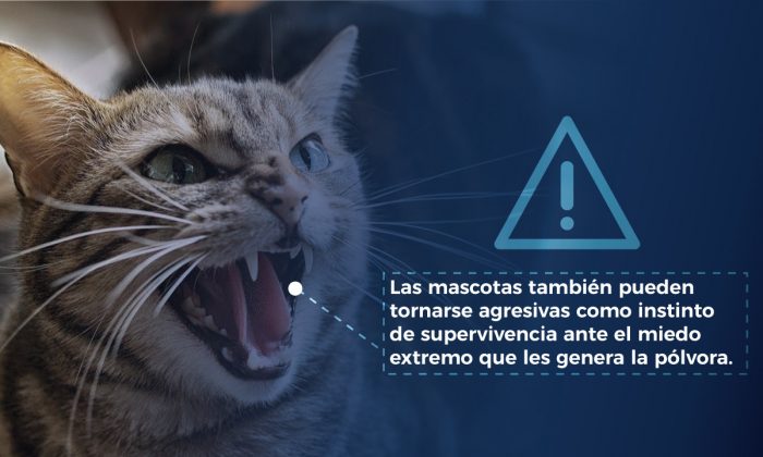 PÓLVORA MASCOTAS ALBORADA 3