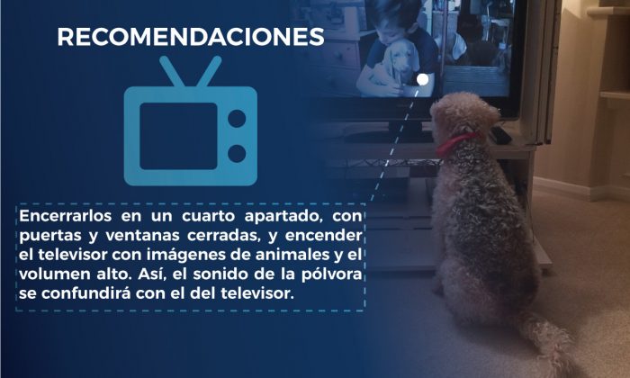 PÓLVORA MASCOTAS ALBORADA 4