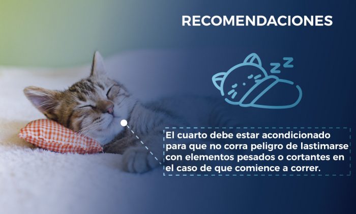 PÓLVORA MASCOTAS ALBORADA 5