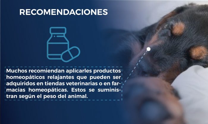 PÓLVORA MASCOTAS ALBORADA 6