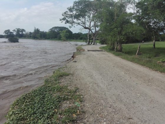 WhatsApp Image 2018 11 17 at 8.10.00 AM