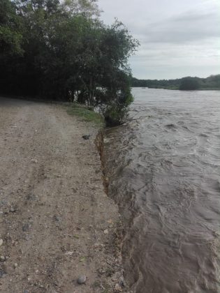 WhatsApp Image 2018 11 17 at 8.10.01 AM 1