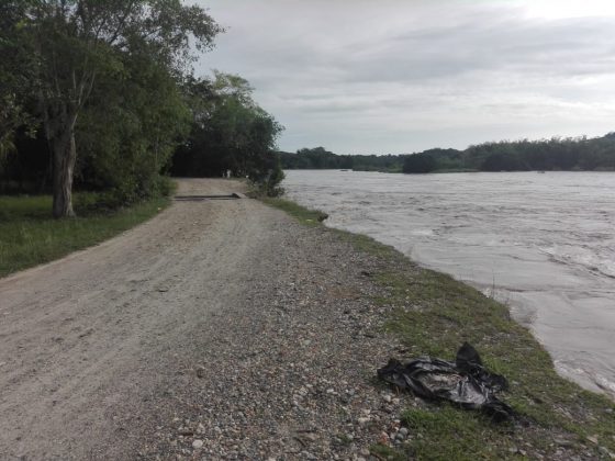 WhatsApp Image 2018 11 17 at 8.10.02 AM