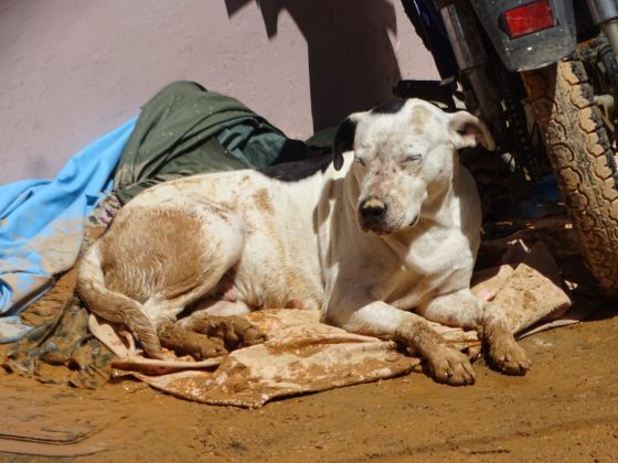 WhatsApp Image 2018 11 23 at 4.19.26 PM