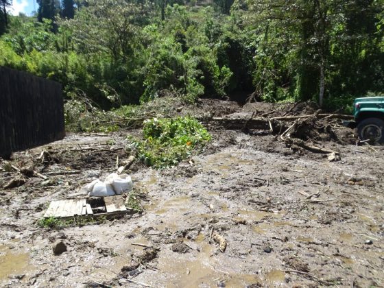 WhatsApp Image 2018 11 23 at 4.19.36 PM