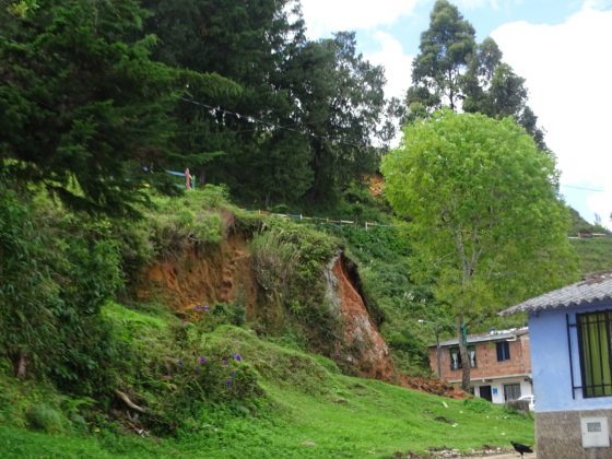 WhatsApp Image 2018 11 23 at 4.19.37 PM