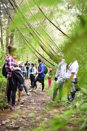 PHOTO 2018 10 21 21 11 31 3