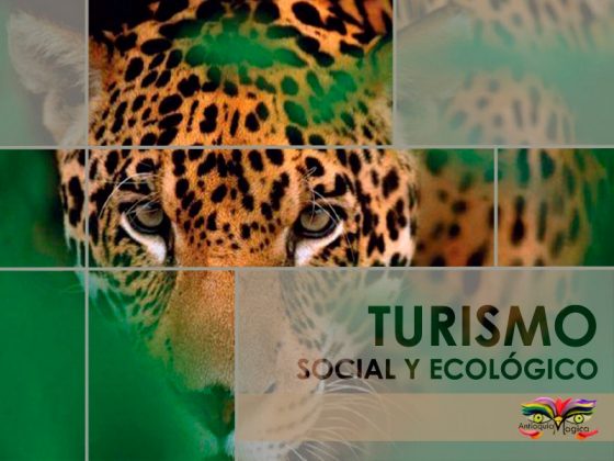 PHOTO 2018 10 30 17 22 34 1