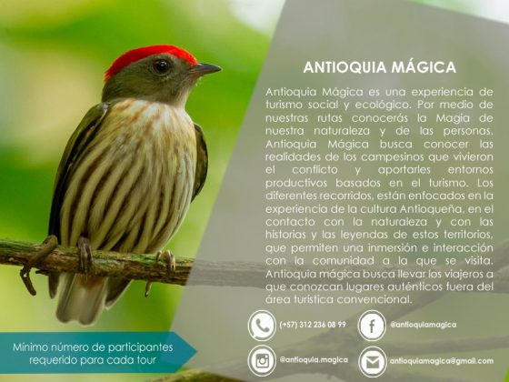 PHOTO 2018 10 30 17 22 34 3