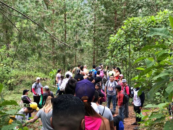 PHOTO 2018 12 03 17 40 14