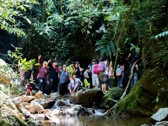 PHOTO 2019 01 02 10 51 46 1